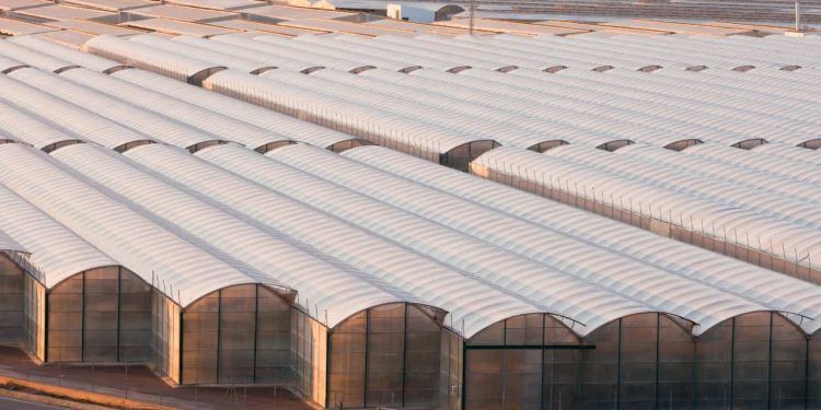 Nova lei flexibiliza certificação de armazéns agropecuários no Brasil 1 Nova lei flexibiliza certificação de armazéns agropecuários no Brasil