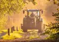Novo decreto amplia incentivos à conservação ambiental no meio rural 5 Novo decreto amplia incentivos à conservação ambiental no meio rural