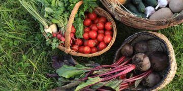Novos descontos do PGPAF beneficiam produtores da agricultura familiar