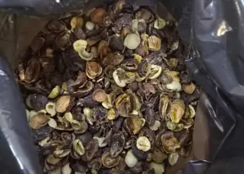 Operação contra irregularidades apreende café torrado em vários estados