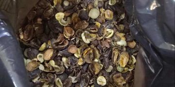Operação contra irregularidades apreende café torrado em vários estados