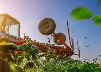 Paraná bate recorde no VBP agropecuário em 2025 com forte avanço da pecuária