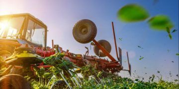 Paraná bate recorde no VBP agropecuário em 2025 com forte avanço da pecuária