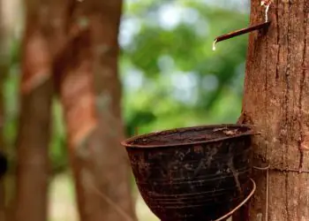 Preço da borracha natural importada sobe quase 10% em maio com alta internacional 6 Preço da borracha natural importada sobe quase 10% em maio com alta internacional