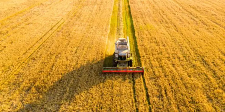 Produtores rurais pessoas físicas ganham acesso a crédito para modernização tecnológica 1 Produtores rurais pessoas físicas ganham acesso a crédito para modernização tecnológica