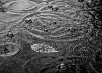 Segunda-feira terá tempo firme no Centro-Oeste e chuva forte no Sul do país, aponta previsão
