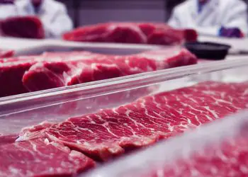Status sanitário do Brasil avança no mercado externo e pode impulsionar exportações de carne
