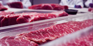 Status sanitário do Brasil avança no mercado externo e pode impulsionar exportações de carne