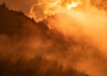 União libera R$ 337,5 milhões para ações contra desmatamento e incêndios florestais 6 União libera R$ 337,5 milhões para ações contra desmatamento e incêndios florestais