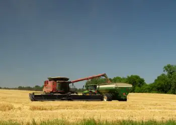VBP da agropecuária deve atingir R$ 1,47 trilhão em 2026, com queda de 4,3%