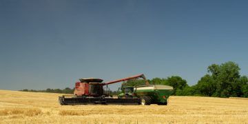 VBP da agropecuária deve atingir R$ 1,47 trilhão em 2026, com queda de 4,3%