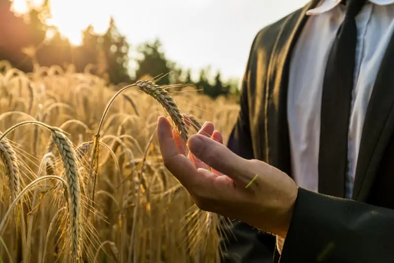 Agricultura empresarial