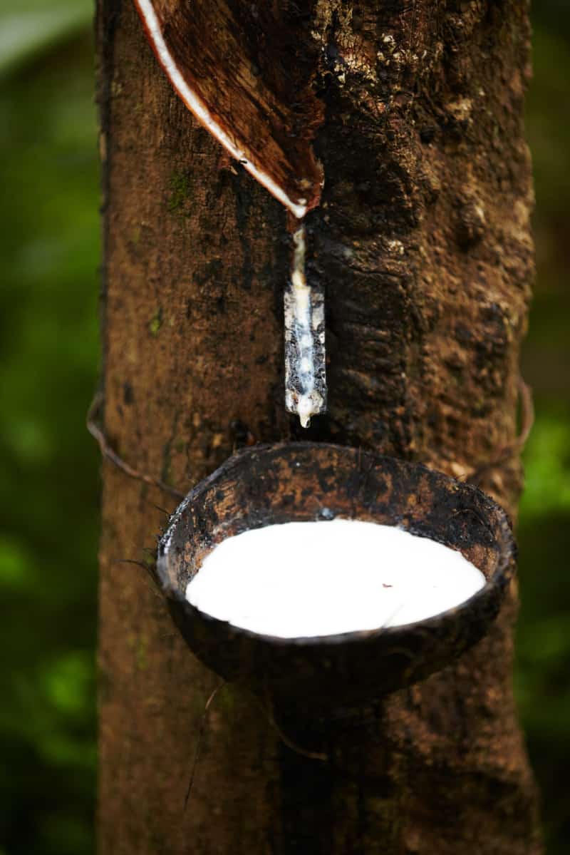 Importaçao da borracha natural