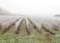 Inverno começa com influência do El Niño e primeira onda de frio intensa atinge o Brasil 4 Inverno começa com influência do El Niño e primeira onda de frio intensa atinge o Brasil
