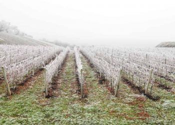 Inverno começa com influência do El Niño e primeira onda de frio intensa atinge o Brasil 6 Inverno começa com influência do El Niño e primeira onda de frio intensa atinge o Brasil