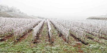 Inverno começa com influência do El Niño e primeira onda de frio intensa atinge o Brasil
