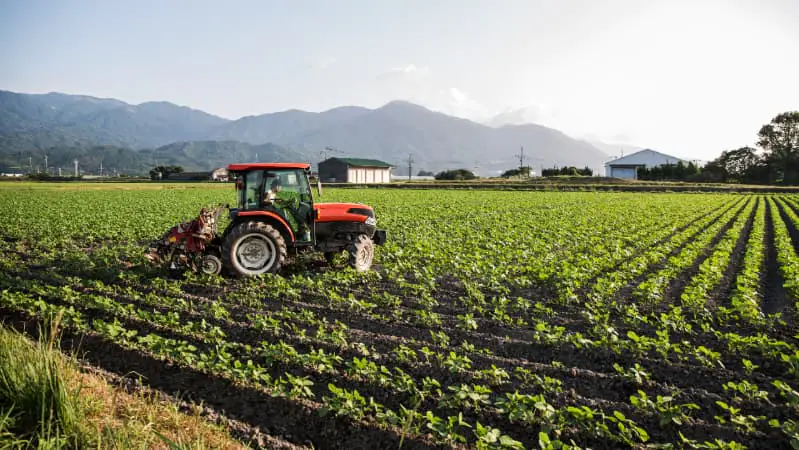 Produção agrícola
