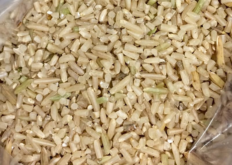 Produtos a base de arroz