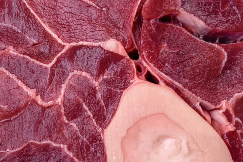 Proteina animal brasileira