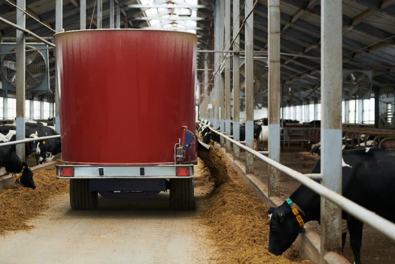 Transporte de animais