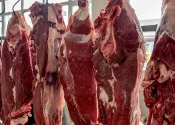 União Europeia confirma veto à carne, mel, peixe e tripas do Brasil