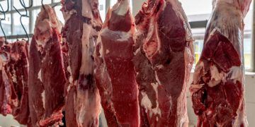 União Europeia confirma veto à carne, mel, peixe e tripas do Brasil