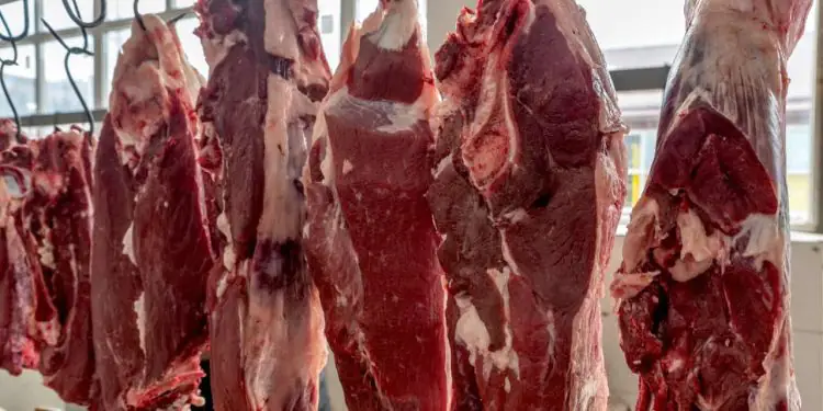 União Europeia confirma veto à carne, mel, peixe e tripas do Brasil 1 União Europeia confirma veto à carne, mel, peixe e tripas do Brasil