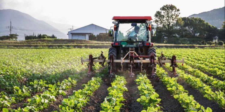 Brasil e Guatemala firmam acordo para ampliar cooperação agropecuária 1 Brasil e Guatemala firmam acordo para ampliar cooperação agropecuária