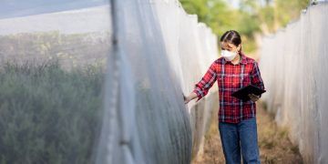 Câmara aprova mudanças na Lei de Proteção de Cultivares; entenda