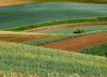 Clima favorece culturas agrícolas em grande parte do Brasil, aponta Conab