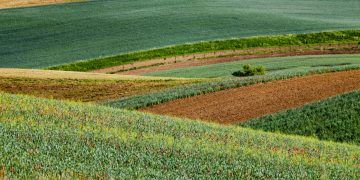 Clima favorece culturas agrícolas em grande parte do Brasil, aponta Conab