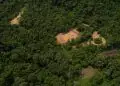 Desmatamento na Amazônia recua 35% e atinge menor nível em duas décadas