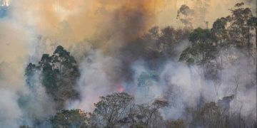 Emissões globais de incêndios florestais alcançam menor patamar da série histórica