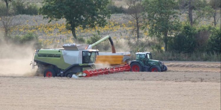 Endividamento rural avança em Mato Grosso com alta da inadimplência e renegociações 1 Endividamento rural avança em Mato Grosso com alta da inadimplência e renegociações