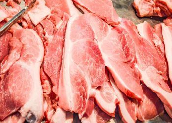 Exportacoes de carne suina atingem recorde no semestre apesar de queda em junho