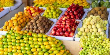 Exportações de frutas do Brasil crescem e consolidam avanço no mercado externo
