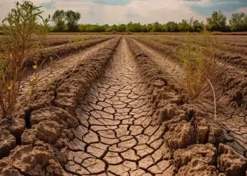Goiás decreta emergência ambiental por risco de incêndios durante a estiagem