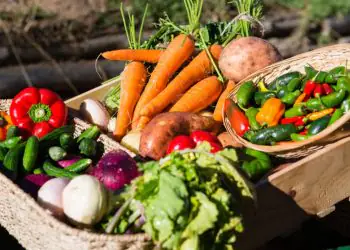 Governo atualiza preços mínimos para produtos agrícolas das safras 2026/27 e 2027