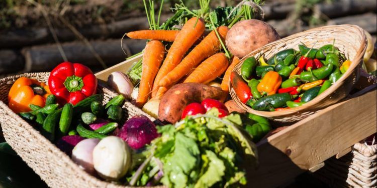 Governo atualiza preços mínimos para produtos agrícolas das safras 2026/27 e 2027 1 Governo atualiza preços mínimos para produtos agrícolas das safras 2026/27 e 2027