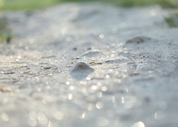 Junho termina com pouca chuva e menor disponibilidade de agua no solo em Goias