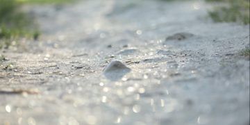 Junho termina com pouca chuva e menor disponibilidade de água no solo em Goiás