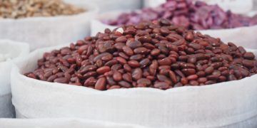 Mercado brasileiro de feijão é influenciado pelo avanço da colheita e oferta restrita