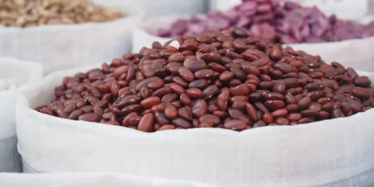 Mercado brasileiro de feijão é influenciado pelo avanço da colheita e oferta restrita 1 Mercado brasileiro de feijão é influenciado pelo avanço da colheita e oferta restrita