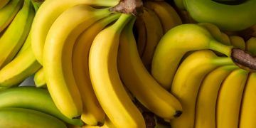 Nova lista do PGPAF garante bônus para produtores de banana em Goiás