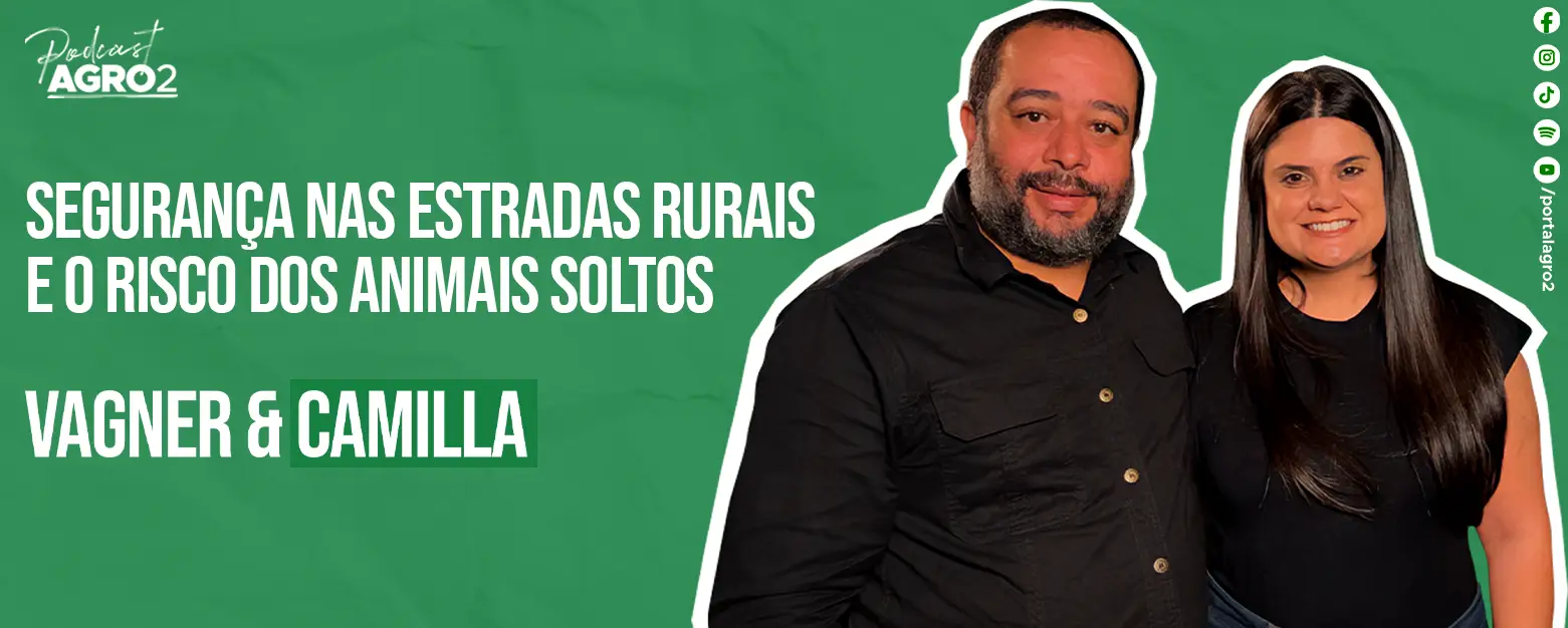 Podcast com Vagner Reis e Camilla Lima 1