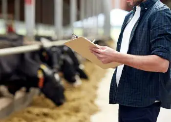 Prazo para emissão de nota fiscal com CNPJ é prorrogado para produtores rurais 7 Prazo para emissão de nota fiscal com CNPJ é prorrogado para produtores rurais