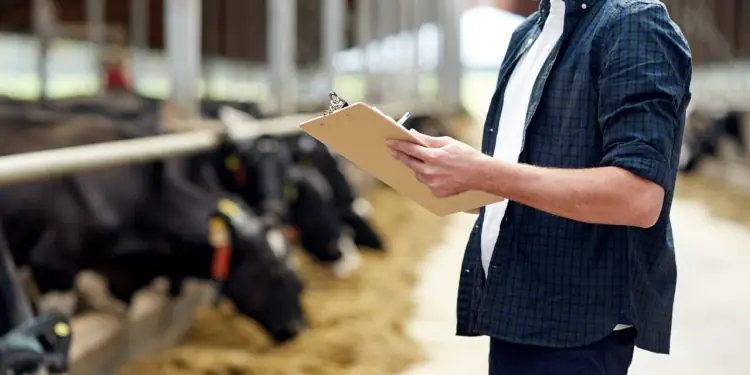 Prazo para emissão de nota fiscal com CNPJ é prorrogado para produtores rurais 1 Prazo para emissão de nota fiscal com CNPJ é prorrogado para produtores rurais