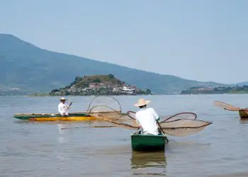 Prazo para solicitar licença especial da pesca artesanal de camarão termina em 31 de julho