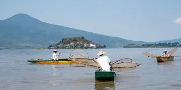 Prazo para solicitar licença especial da pesca artesanal de camarão termina em 31 de julho