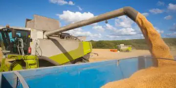 Produção brasileira de grãos deve atingir 360,1 milhões de toneladas na safra 2025/26